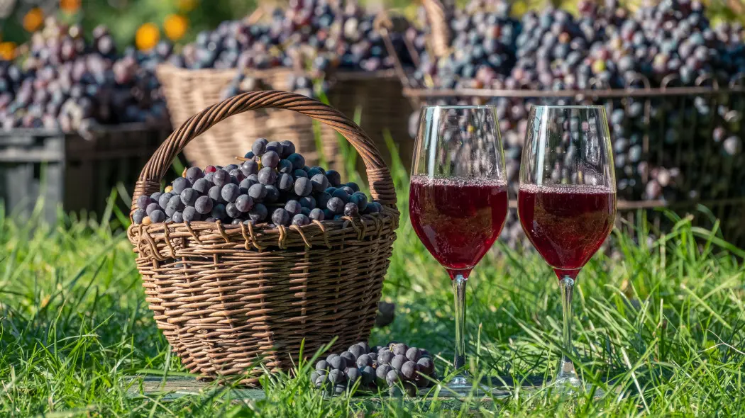 Wino z winogron
