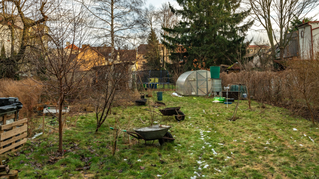 Ogród w obliczu ciepłej zimy – jak się przygotować na zmienne temperatury?