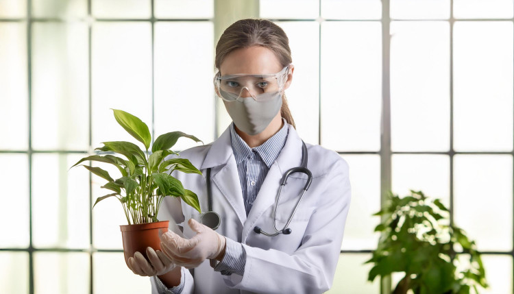 S.O.S. – Pogotowie roślinne: jak rozpoznać problemy i ratować rośliny?