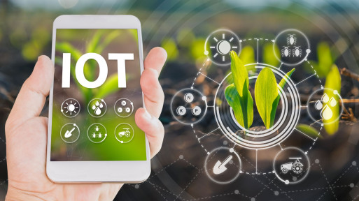 "Smart plants": rośliny w erze IoT. Co czeka ogrodników w 2025 roku?