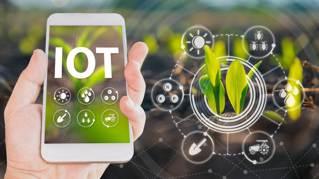 Smart plants - rośliny w erze IoT