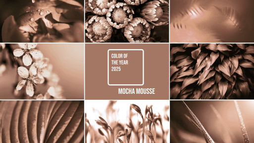 Jak urządzić ogród w nowym kolorze Pantone 2025 roku – Mocha Mousse?