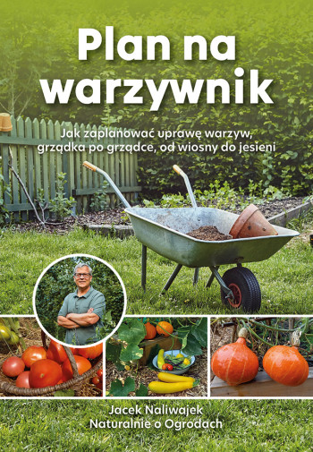 Plan na warzywnik