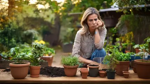 Tych roślin nie powinieneś mieć w 2025 roku? Uważaj, co kupujesz i sadzisz w domu i w ogrodzie