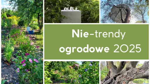 (Nie!) Trendy ogrodowe 2025 | Natura, Sztuka i ... Błogie Lenistwo. Ogrodnicze autorytety o nadchodzących zmianach