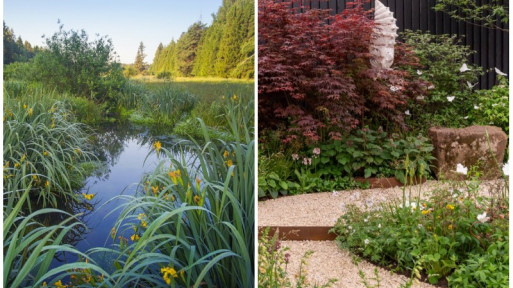 Czy dziki ogród istnieje? | Natura versus Chelsea Flower Show