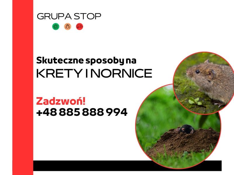 Zwalczanie kretów i nornic Grupa Stop