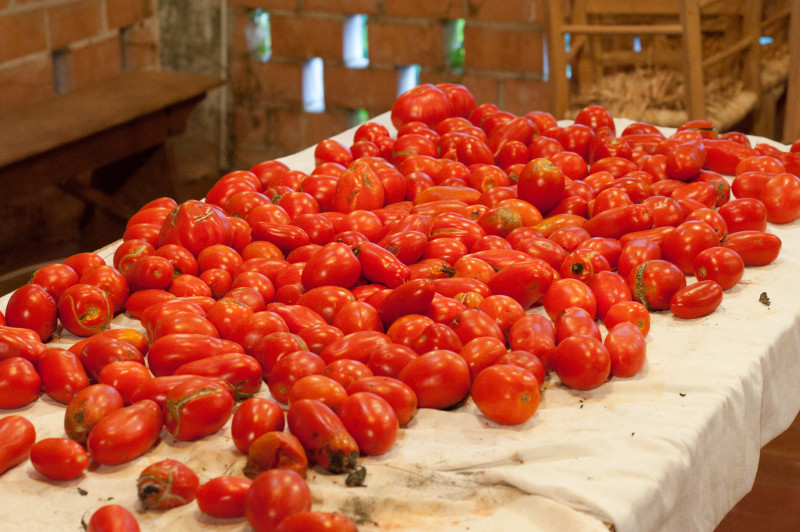 San Marzano