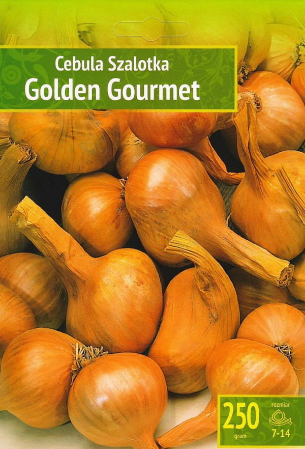 Cebula szalotka Golden Gourmet