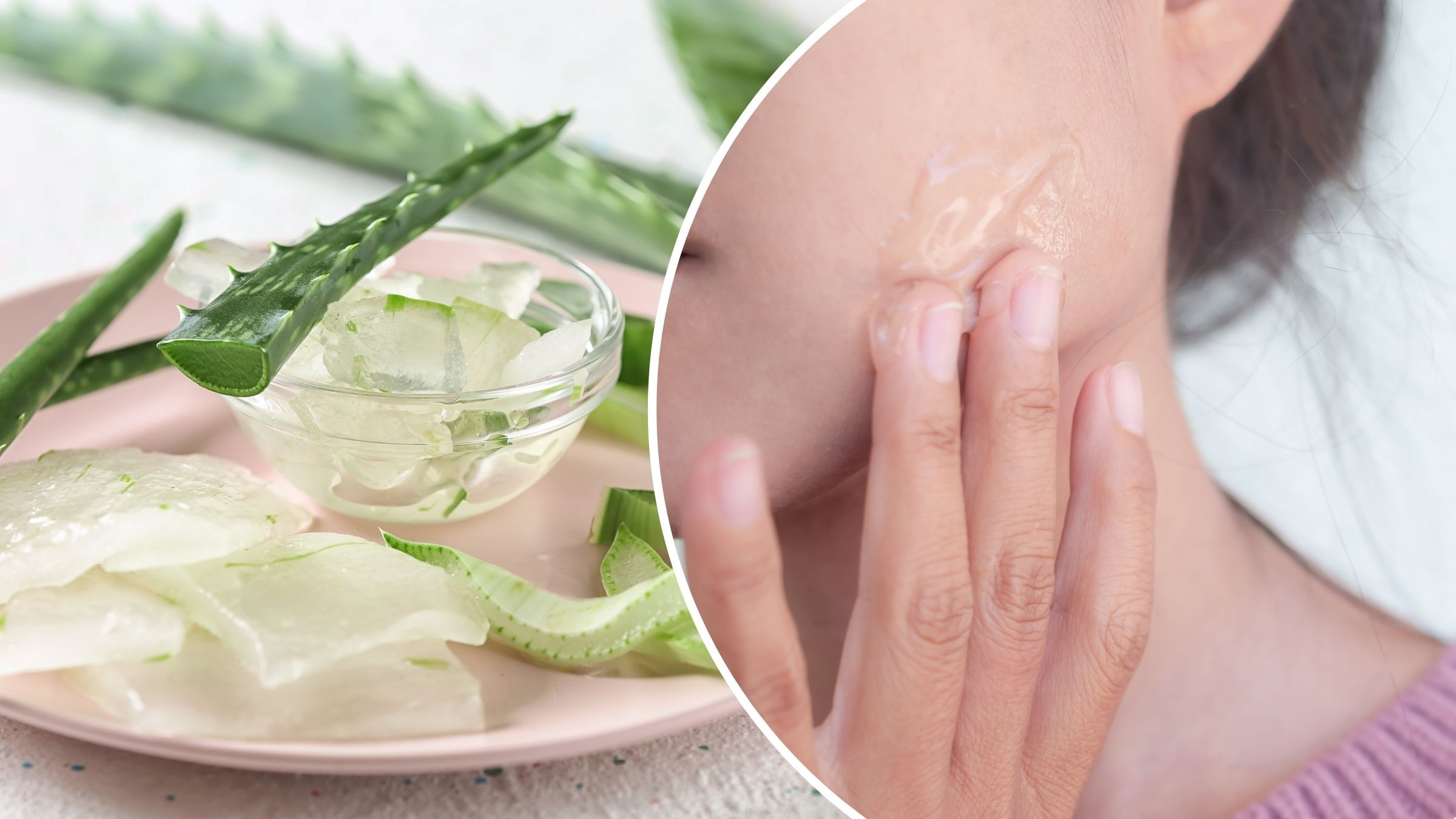 aloe vera zum entgiften Aloe Vera King Getränk zuckerfrei 500ml günstig online kaufen main image 1