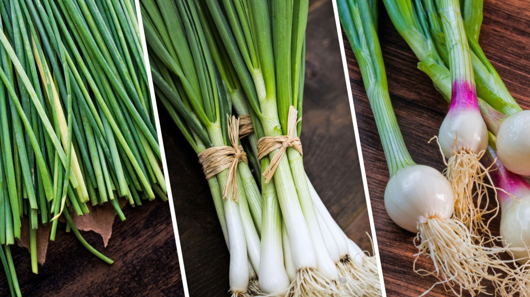 Green onions, scallions i spring onions