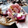 Przegapiłeś sadzenie cebulek kwiatowych jesienią? Wiosną tylko tak je uratujesz