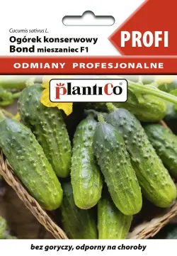 Ogórek BOND F1