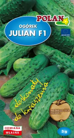 Ogórek JULIAN F1