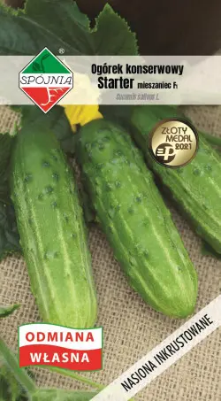 Ogórek STARTER F1