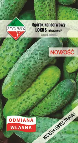 Ogórek LOKUS F1