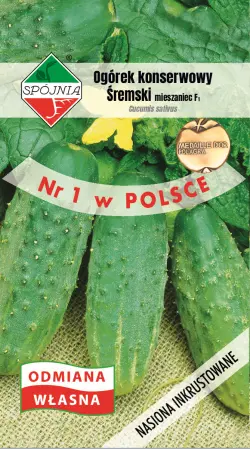 Ogórek ŚREMSKI F1