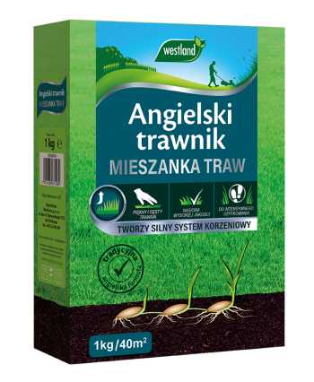 Angielski trawnik Mieszanka traw