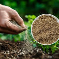 Nowa seria naturalnych nawozów – odkryj moc zeolitu. Czy to będzie hit sezonu 2025?