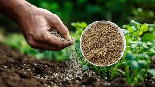 Nowa seria naturalnych nawozów – odkryj moc zeolitu. Czy to będzie hit sezonu 2025?