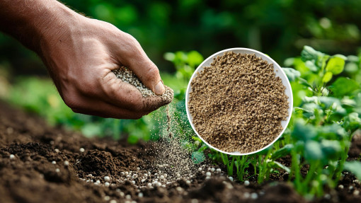Nowa seria naturalnych nawozów – odkryj moc zeolitu. Czy to będzie hit sezonu 2025?