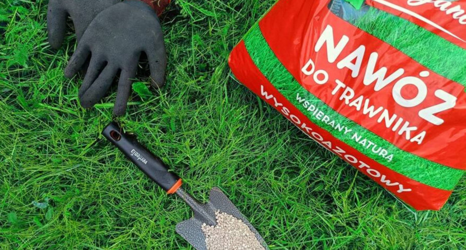 Najważniejszy zabieg na wiosnę? Tak błyskawicznie zagęścisz, odżywisz i zazielenisz trawnik po zimie