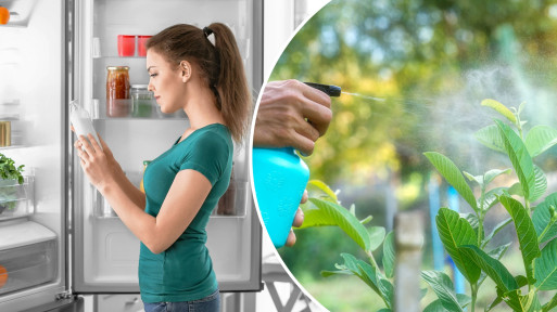Mszyce boją się tego jak ognia – masz to w lodówce