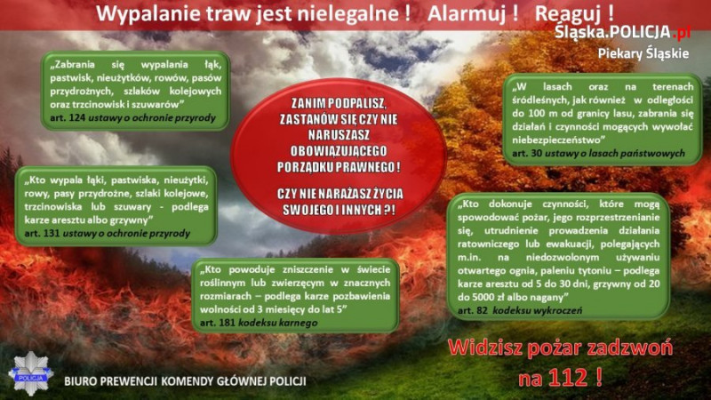 Zakaz wypalania traw