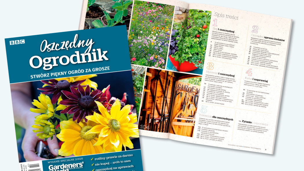 Oszczędzaj z Gardeners’ World. Nowy numer specjalny już w sprzedaży!