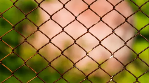 Jak odnowić starą siatkę ogrodzeniową? Krok po kroku i bez błędów