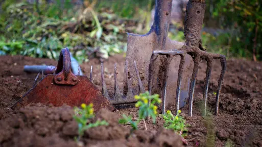 Narzędzia do uprawy i pielęgnacji gleby – które są naprawdę potrzebne, by właściwie dbać o ogród?