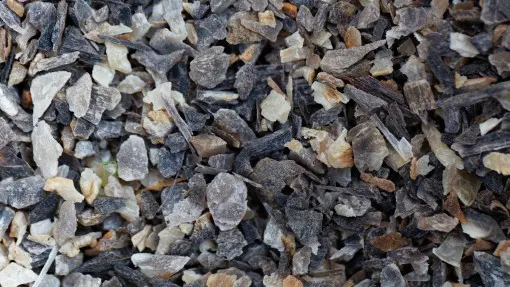 Wióry rogowe – naturalny nawóz do ogrodu. Co to jest, jak działa i gdzie kupić?