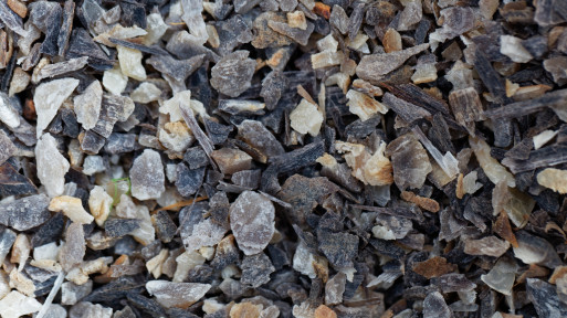 Wióry rogowe – naturalny nawóz do ogrodu. Co to jest, jak działa i gdzie kupić?