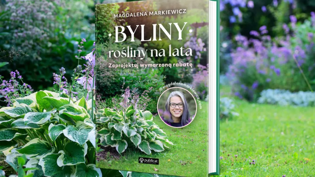 Byliny rośliny na lata. Zaprojektuj wymarzoną rabatę