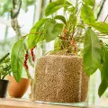 Sekret bujnych roślin i zdrowej ziemi? Naturalnie! Wystarczy dodać Granuplant