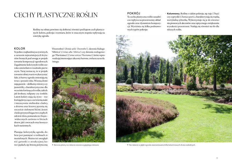 Cechy plastyczne roślin - fragment książki Byliny rośliny na lata. Zaprojektuj wymarzoną rabatę