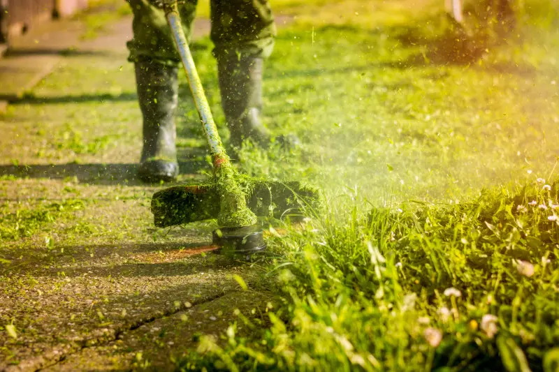 Kosa – do trudnych zadań i wymagającego terenu