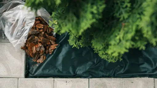 Czy agrotkanina pod tuje to dobry pomysł? Oto wady i zalety tego rozwiązania