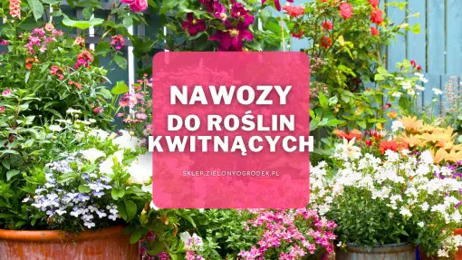 Nawozy do roślin kwitnących | Jakie wybrać i gdzie kupić?