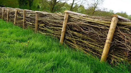 Dead hedge – martwy żywopłot. Jak i dlaczego warto założyć go w ogrodzie?