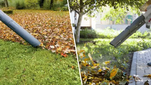 Odkurzacze ogrodowe i dmuchawy do liści – jak wybrać najlepsze urządzenie do ogrodowych porządków?