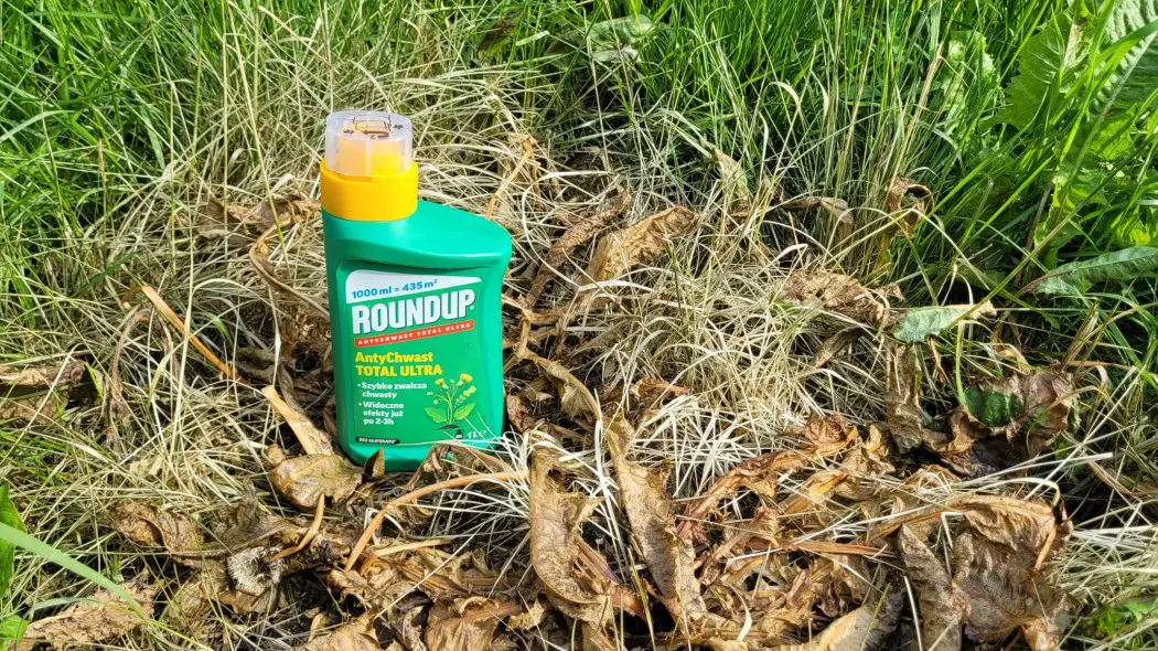 Testujemy Roundup w naszym ogrodzie
