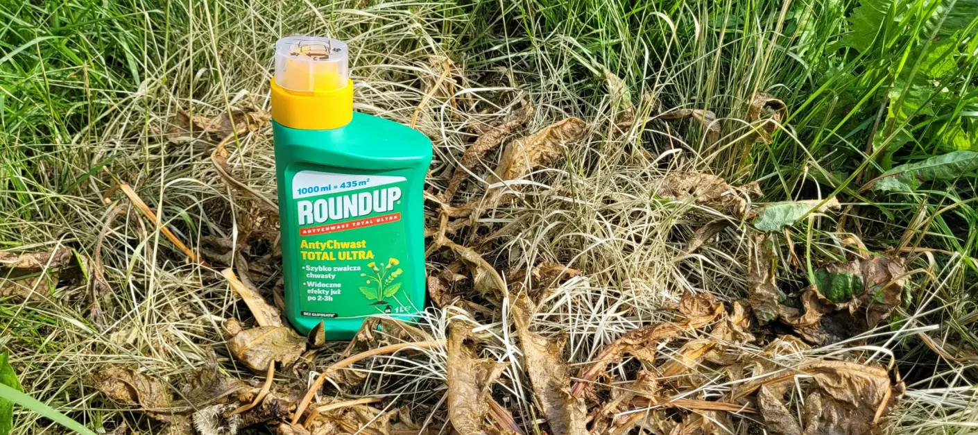 Testujemy Roundup w naszym ogrodzie