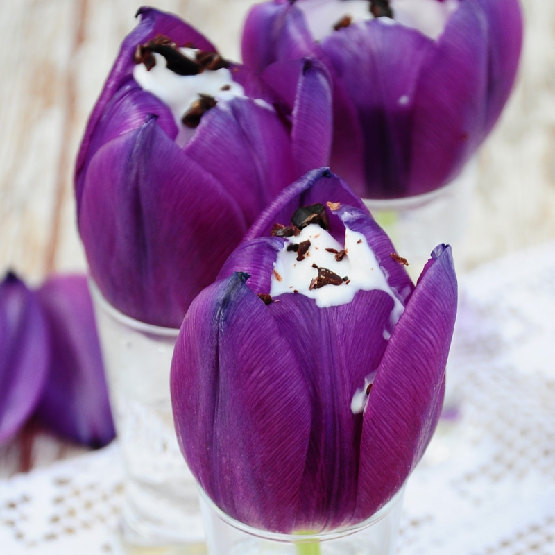 Przepis na lody w kwiatach tulipanów