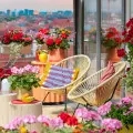 Pelargonie jak z Pinteresta? Tak wyglądają najnowsze inspiracje na 2025 rok