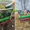 Podlej tym rośliny. Pozbędziesz się larw, pędraków i turkucia – w 100% naturalnie