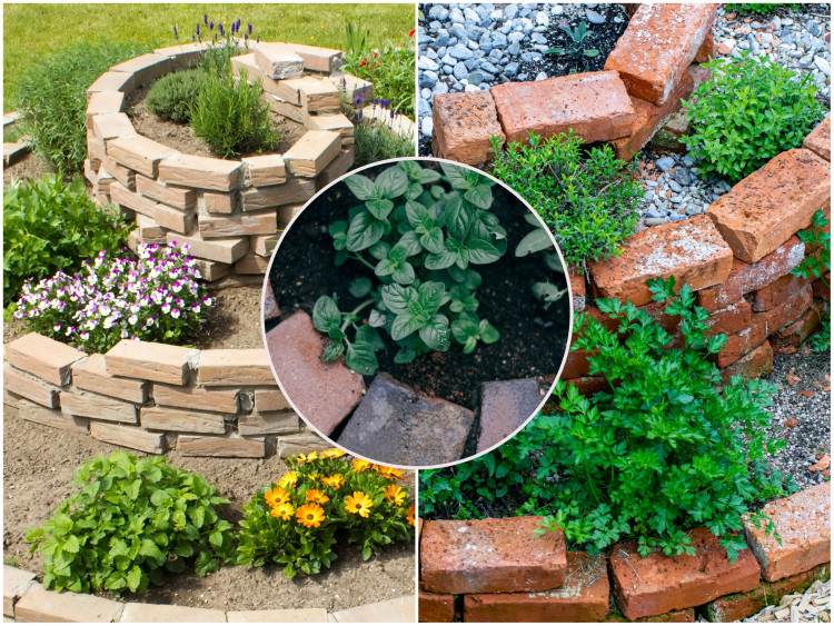 Spirala ziołowa. Jak założyć i co na niej posadzić?