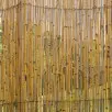 Dead hedge – martwy żywopłot. Jak i dlaczego warto założyć go w ogrodzie?