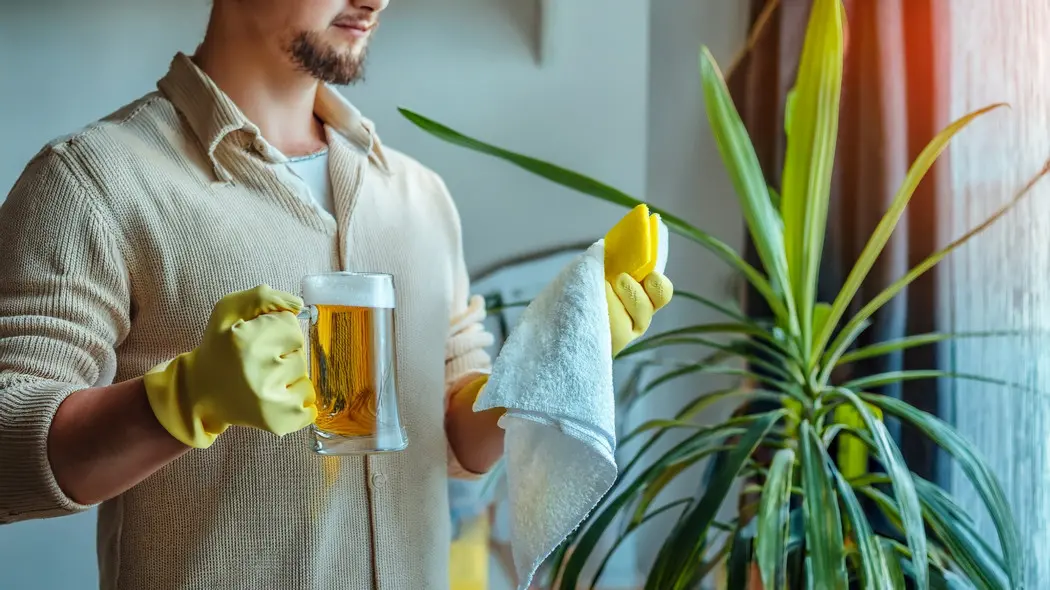 Liście też lubią piwo i drinki z cytryną