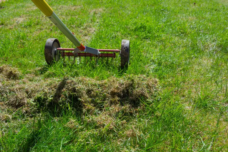 Zagęszczanie trawnika przez wertykulację i aerację